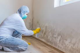 Best Forensic Mold Investigation  in Seven Fields, PA