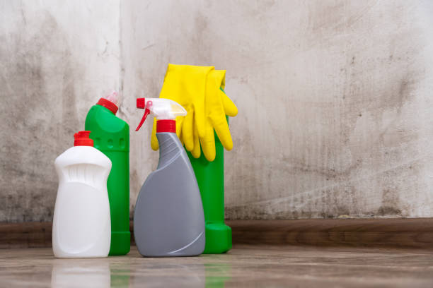 Best Biohazard Mold Removal  in Seven Fields, PA